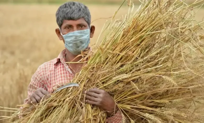 22वीं किस्त के लिए 'फार्मर रजिस्ट्री' अनिवार्य, वरना रुक जाएगा पैसा