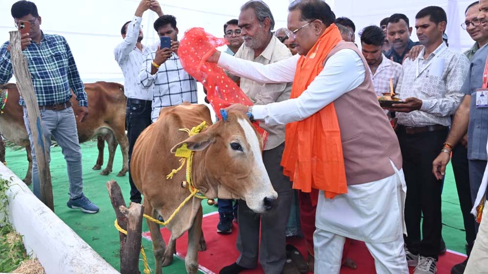 गोधन संरक्षण और गौसेवा को बढ़ावा देने राज्य सरकार प्रतिबद्ध : मुख्यमंत्री साय