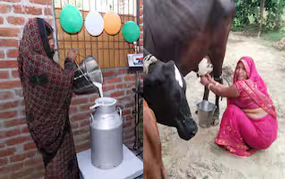 दुग्ध व्यवसाय से तरक्की में उत्तर प्रदेश देश में पहले स्थान पर