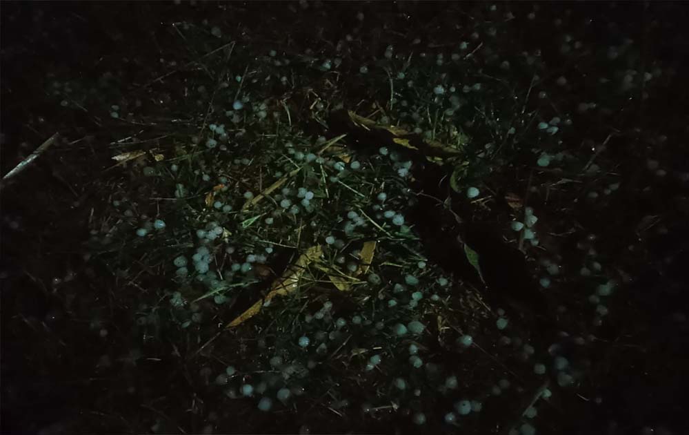 जरही में कुदरत का कहर, आंधी तूफान वा बारिश के साथ गिरे ओले