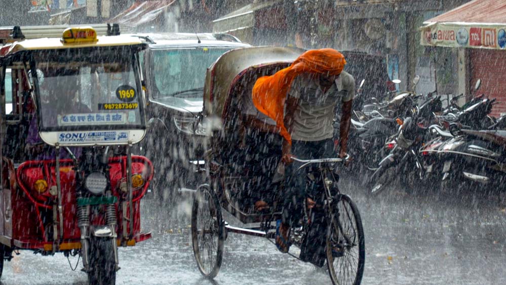 पंजाब के 4 जिलों में बारिश का कहर, लुधियाना समेत ओले गिरने और आंधी का अलर्ट, चंडीगढ़ में बूंदाबांदी