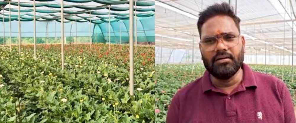 राष्ट्रीय बागवानी मिशन की मदद से बाराबंकी के नीरज पटेल बने आत्मनिर्भर