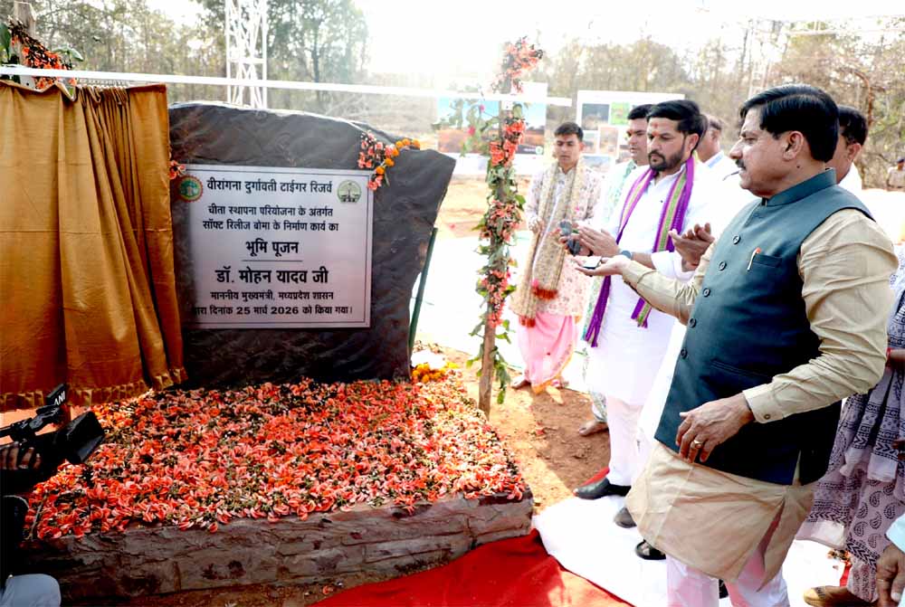 चीतों का नया बसेरा बनेगा बुंदेलखंड अब बुंदेलखंड की धरती पर चीते भरेंगे फर्राटे