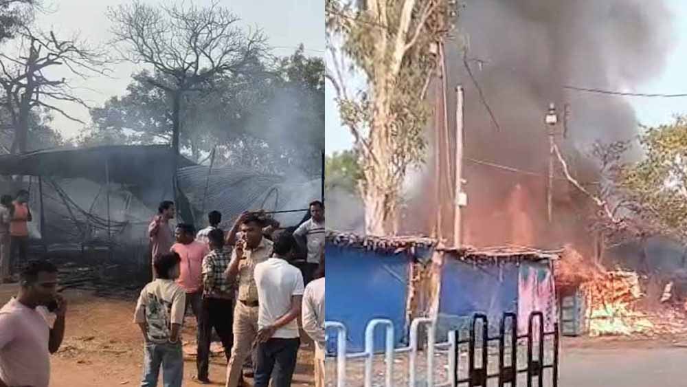 बंदरों की हरकत बनी आफत: बलौदा बाजार में ट्रांसफार्मर फटा, चिंगारी से कई दुकानें जलीं