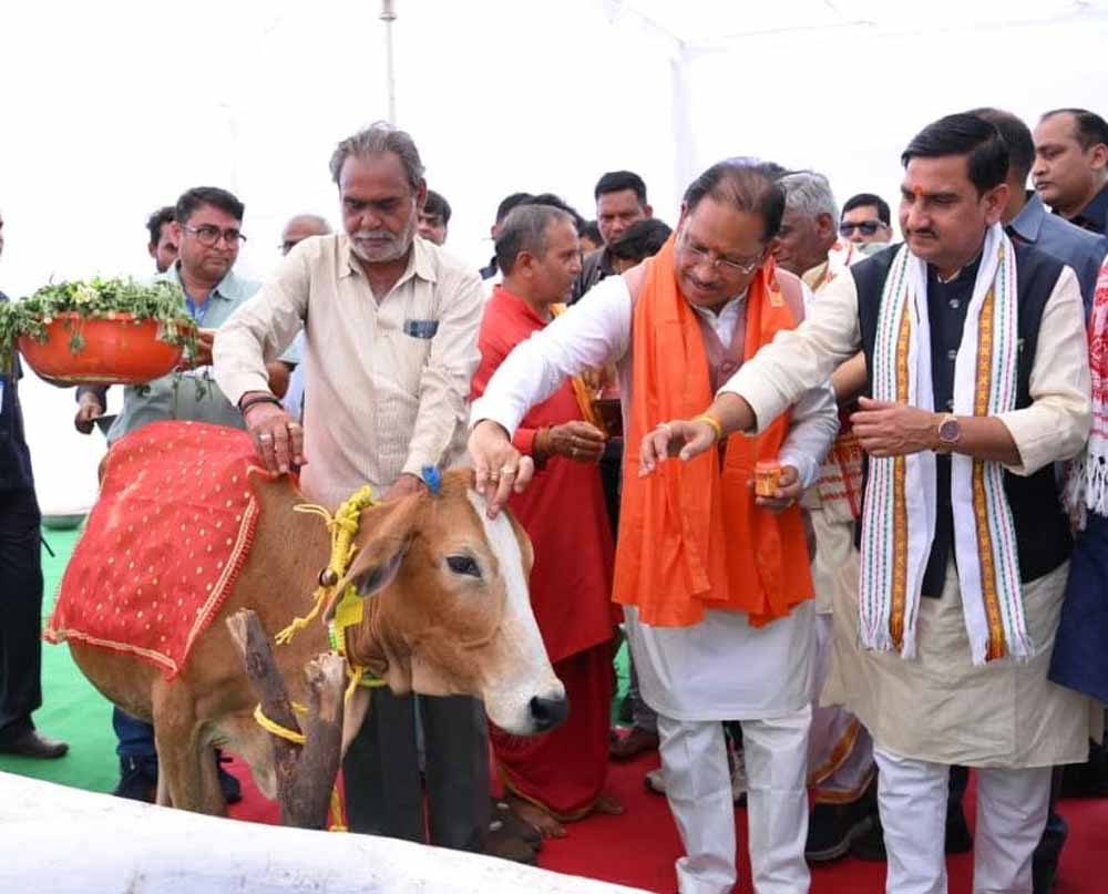 गोधन संरक्षण को नई पहचान : अब प्रदेश के सभी गौधाम कहलाएंगे “सुरभि गौधाम”