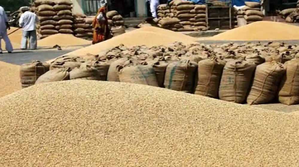 मंडी में पूरी तैयारी: गेहूं खरीद शुरू, किसानों को मिलेगा समय पर पैसा