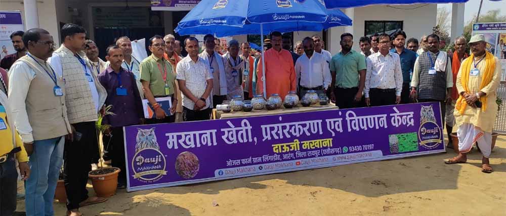 मखाना खेती की नई तकनीक सीखने पहुंचे MP के किसान, लिंगाडीह में हुआ प्रशिक्षण