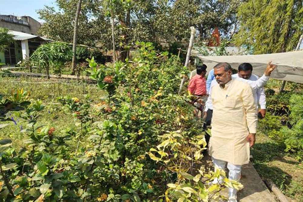 शासकीय नर्सरियों को बनाया जायेगा आदर्श नर्सरी : मंत्री कुशवाह