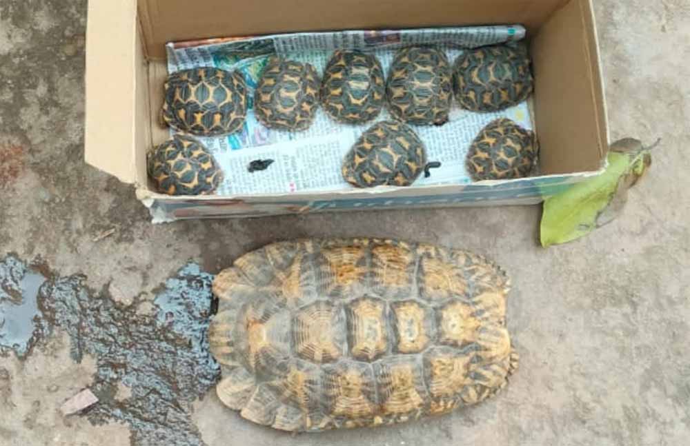 वन्य-जीव संरक्षण में सहयोग करने की वन विभाग ने की अपील