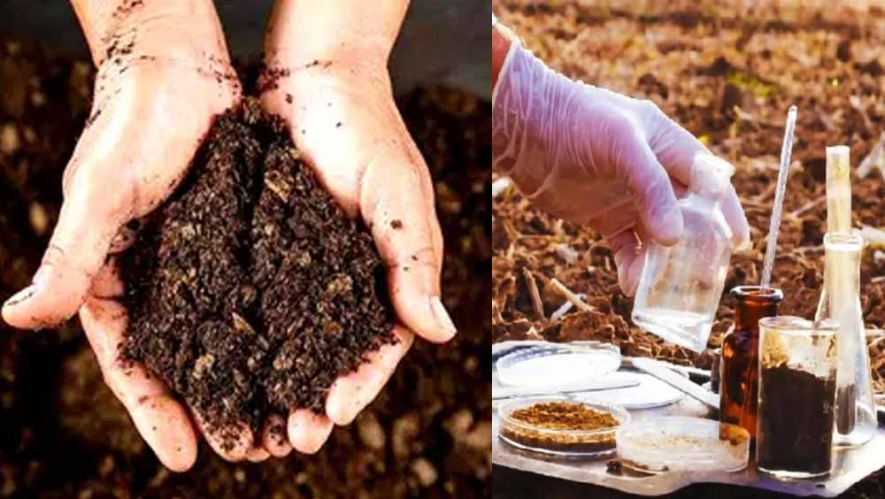 खेती होगी और बेहतर: 5 रुपए में मिट्टी जांच योजना से किसानों को फायदा