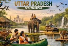 यूपी को इको टूरिज्म हब बनाने की दिशा में उल्लेखनीय पहल, फिरोजाबाद और गाजीपुर में इको टूरिज्म गतिविधियों का होगा विकास यूपी को इको टूरिज्म हब बनाने की दिशा में उल्लेखनीय पहल, फिरोजाबाद और गाजीपुर में इको टूरिज्म गतिविधियों का होगा विकास