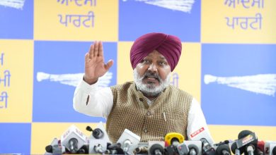 पंजाब में आम आदमी पार्टी सरकार ने 2022 से ही सारी चोर-मोरियां की बंद: चीमा