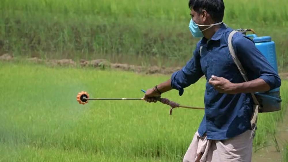 महंगाई की मार खेत तक पहुंची: कीटनाशकों के दाम 30% बढ़े, किसान परेशान
