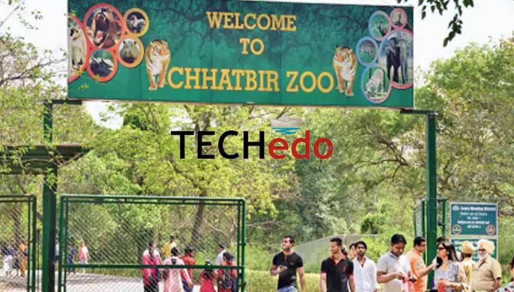 Tourist सावधान! छतबीड़ चिड़ियाघर में अब नहीं चलेगी मनमानी, जंगलात विभाग ने कसे नियम