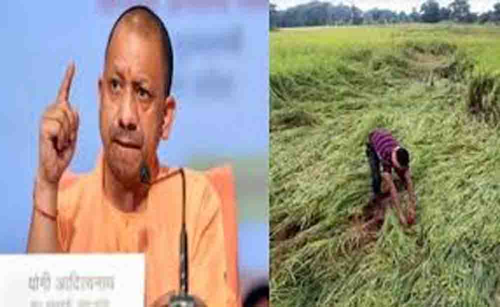 असमय वर्षा और ओलावृष्टि से प्रभावित किसानों को मिलेगी क्षतिपूर्ति, योगी सरकार का बड़ा फैसला