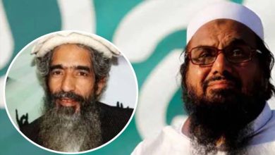 PAK में आतंकी हाफिज सईद के सहयोगी हमजा को मारी गोली, फिर अज्ञात गनमैन हुआ एक्टिव