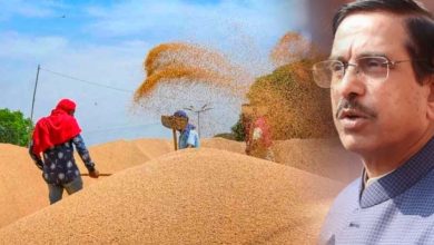 केंद्र ने पंजाब-चंडीगढ़ के किसानों को गेहूं खरीद के लिए दी विशेष छूट, राहत की खबर
