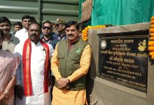 सीएम डॉ. मोहन ने एमपी में 4 जंगली भैसें रिलीज की, वाइल्ड लाइफ और ईको-सिस्टम पर पड़ेगा बड़ा प्रभाव