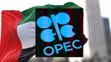 UAE के OPEC छोड़ने से भारत को फायदा, पाकिस्तान को नुकसान: जानिए किसे कितना फायदा हुआ