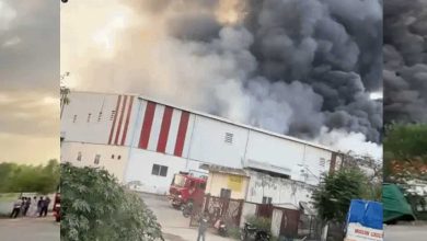 मोहाली के रिलायंस गोदाम में आग से ग्रॉसरी और राशन जल गए, खड़े वाहन भी चपेट में; दमकल की गाड़ियां मौके पर