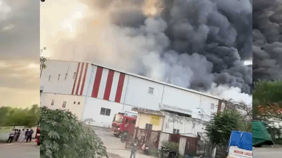 मोहाली के रिलायंस गोदाम में आग से ग्रॉसरी और राशन जल गए, खड़े वाहन भी चपेट में; दमकल की गाड़ियां मौके पर