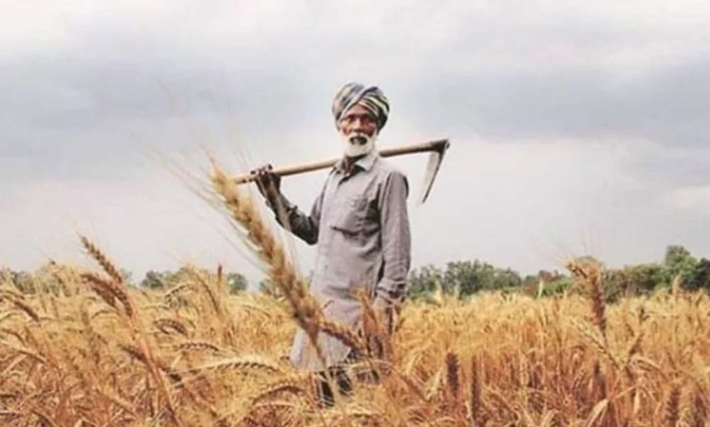पंजाब के किसानों को मिला सुनहरा अवसर, 24 अप्रैल तक करें काम, समय घट रहा है