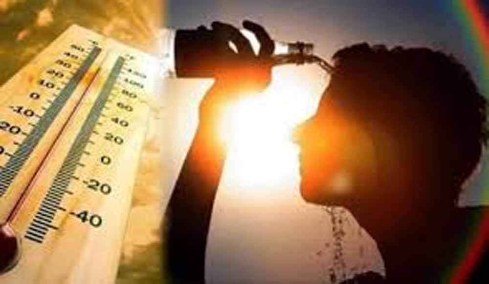 हीटवेव से झुलस रहा राजस्थान, 48 घंटे के लिए येलो अलर्ट जारी