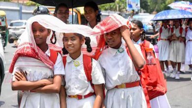 भीषण गर्मी को देखते हुए करौली प्रशासन का बड़ा फैसला, सुबह लगेंगी कक्षाएं