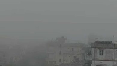 रांची में धुंध और हल्की बारिश, कई जिलों में वज्रपात की चेतावनी