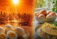 गर्मियों में अंडा खाना सुरक्षित या नहीं? एक्सपर्ट्स ने बताया पूरा सच