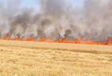 कटाई के बाद खलिहान में रखी फसल जली, किसान विजय कुमार मेहता को भारी नुकसान