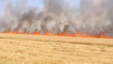 कटाई के बाद खलिहान में रखी फसल जली, किसान विजय कुमार मेहता को भारी नुकसान