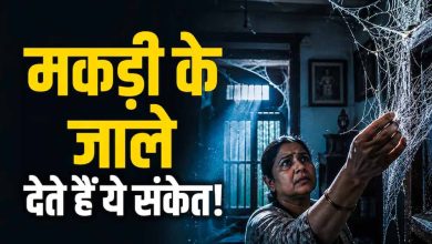 घर में मकड़ी के जाले सिर्फ गंदगी नहीं, वास्तु में माने जाते हैं अशुभ संकेत