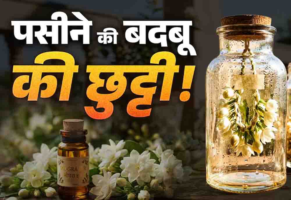 पसीने की बदबू से छुटकारा दिलाएगा मोगरे का देसी इत्र, बिना किसी खर्च के घर पर इस जादुई तरीके से करें तैयार