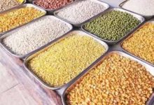 केंद्र सरकार की नई योजना, दलहन खेती पर ₹4500 प्रति क्विंटल तक प्रोत्साहन