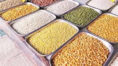 केंद्र सरकार की नई योजना, दलहन खेती पर ₹4500 प्रति क्विंटल तक प्रोत्साहन