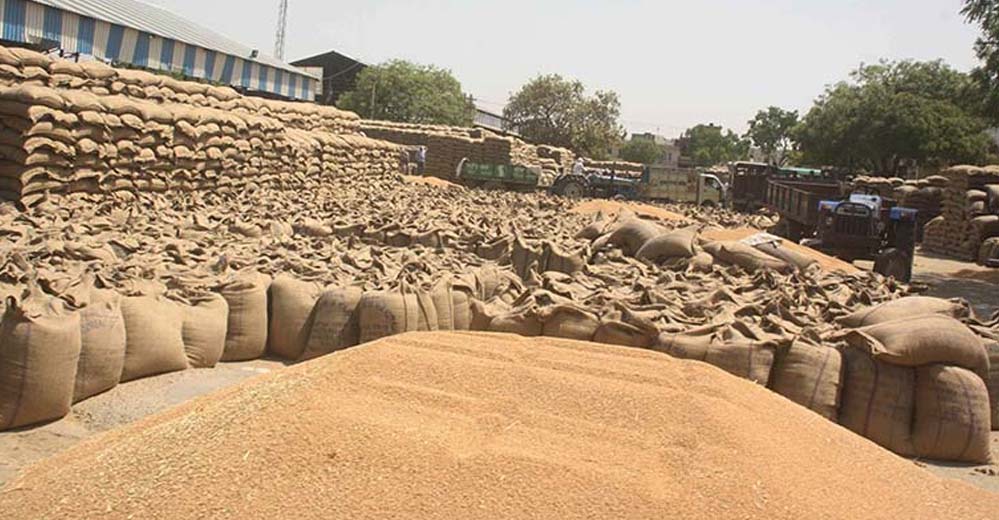 एमपी में किसानों के लिए बड़ी राहत: चार संभागों में शुरू हुई गेहूं खरीदी, सरकार देगी बोनस