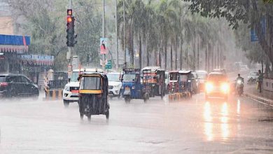 Weather Update: बंगाल की खाड़ी की नमी से बदलेगा मौसम, बादल गरजने और बूंदाबांदी की संभावना