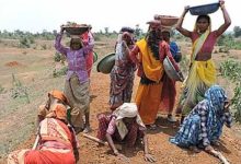 छत्तीसगढ़ ने बनाया रिकॉर्ड: मनरेगा श्रमिकों की 97.11% ई-केवाईसी पूरी, देश में अव्वल