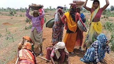 छत्तीसगढ़ ने बनाया रिकॉर्ड: मनरेगा श्रमिकों की 97.11% ई-केवाईसी पूरी, देश में अव्वल