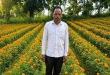 परंपरागत खेती छोड़ फूलों की खेती अपनाई, कम लागत में मिला ज्यादा मुनाफा