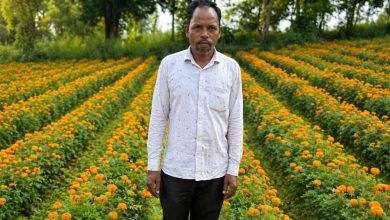 परंपरागत खेती छोड़ फूलों की खेती अपनाई, कम लागत में मिला ज्यादा मुनाफा