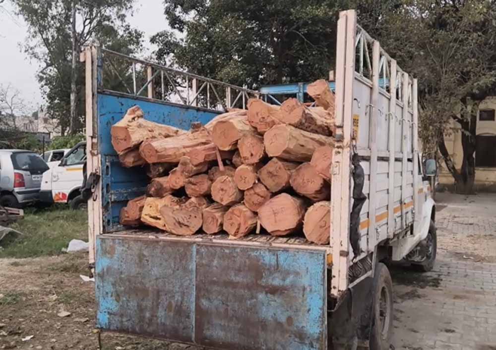 वन टीम पर गाड़ी चढ़ाने का खामियाजा: तस्करों को 5 साल की सजा सुनाई वन टीम पर गाड़ी चढ़ाने का खामियाजा: तस्करों को 5 साल की सजा सुनाई