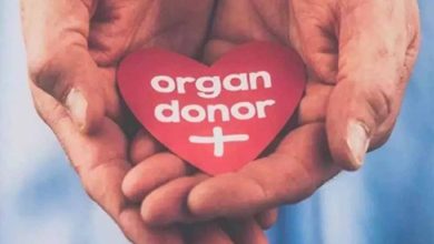 हरियाणा में अंगदान को लेकर युवाओं में उत्साह, 18-45 आयु वर्ग सबसे आगे