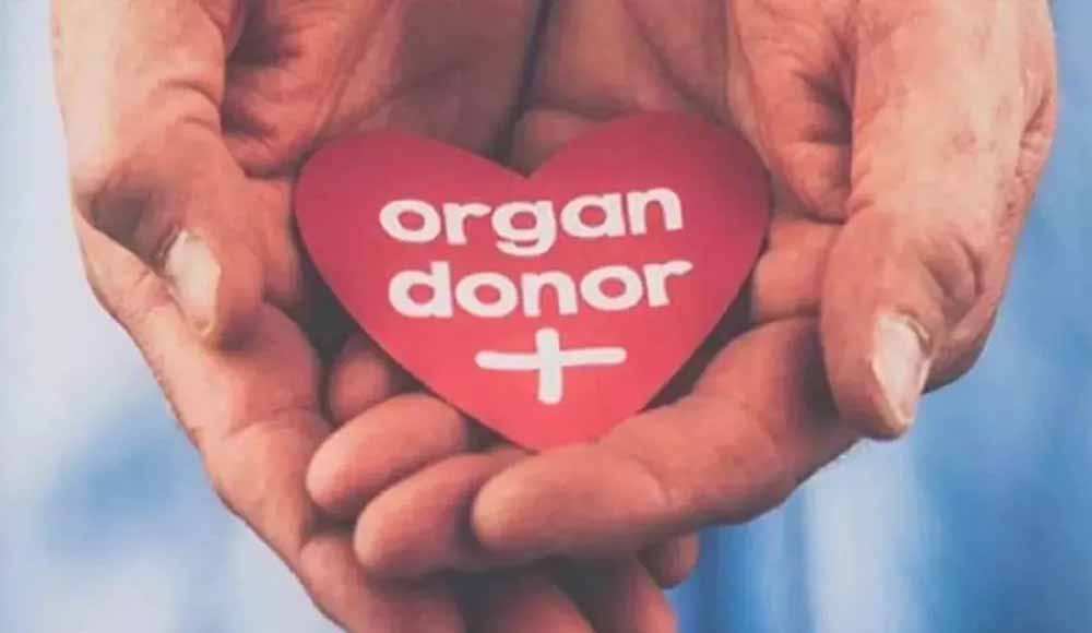हरियाणा में अंगदान को लेकर युवाओं में उत्साह, 18-45 आयु वर्ग सबसे आगे