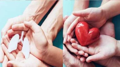 अंगदान में हरियाणा की नई मिसाल: 7940 लोगों ने किया रजिस्ट्रेशन, जींद जिला सबसे आगे