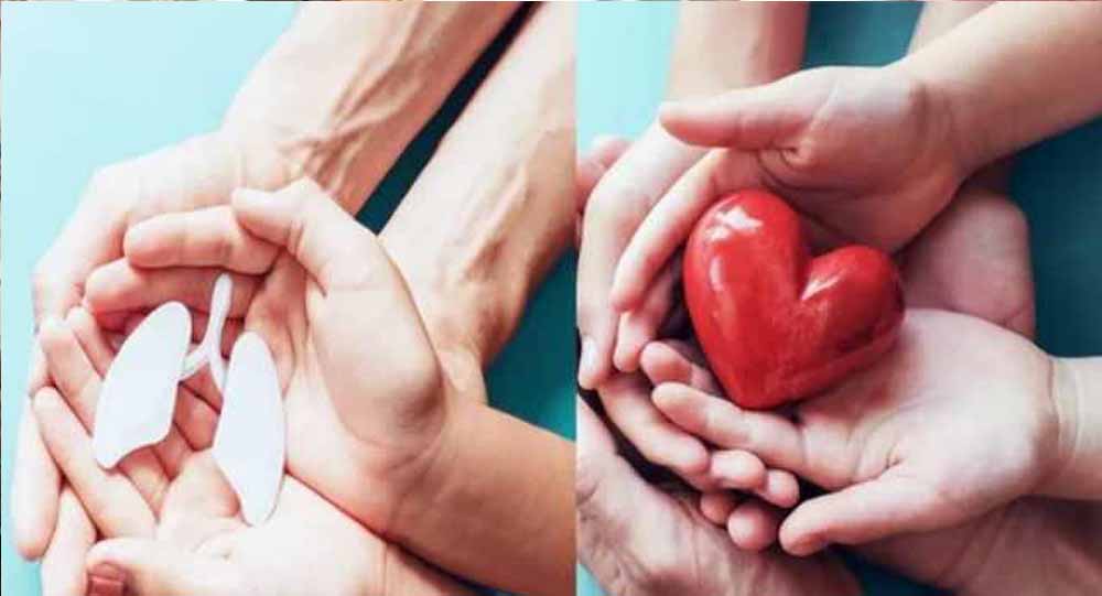 अंगदान में हरियाणा की नई मिसाल: 7940 लोगों ने किया रजिस्ट्रेशन, जींद जिला सबसे आगे