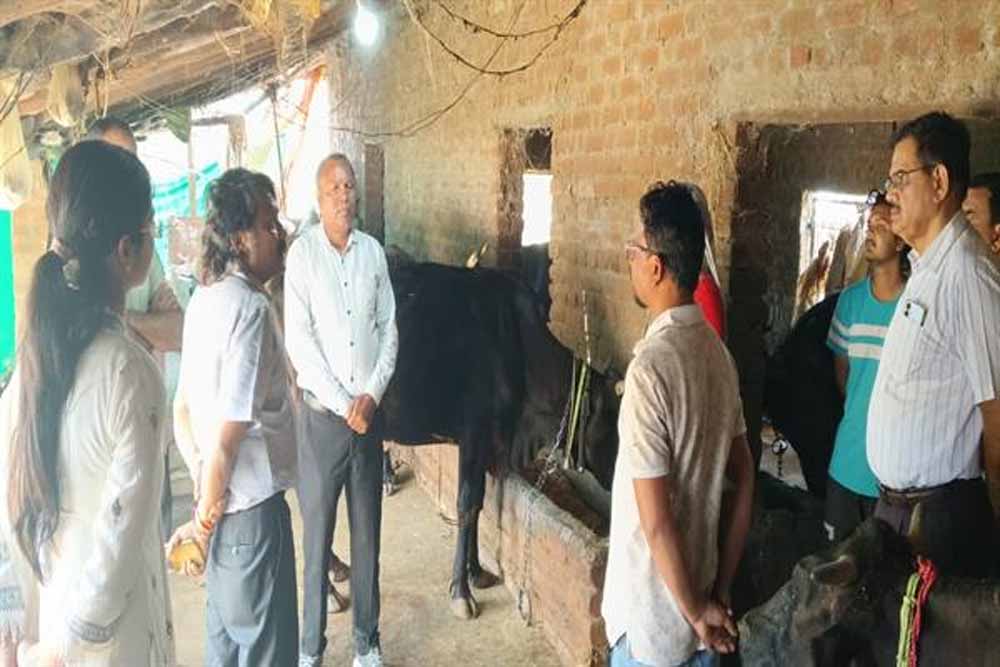 प्रमुख सचिव उमराव ने जबलपुर एवं मंडला जिले का किया भ्रमण, क्षीरधारा योजना अंतर्गत चयनित पशुपालकों के घर जाकर की भेंट