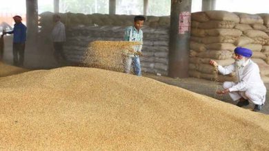 रिकॉर्ड गेहूं खरीद: पंजाब में 100 LMT पार, ₹21,000 करोड़ से अधिक की पेमेंट जारी