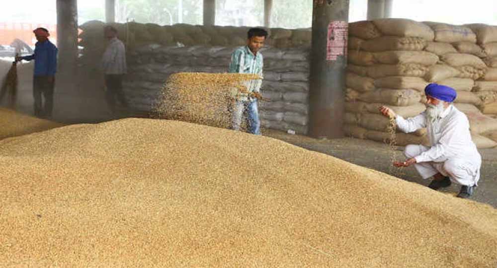 रिकॉर्ड गेहूं खरीद: पंजाब में 100 LMT पार, ₹21,000 करोड़ से अधिक की पेमेंट जारी